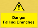 danger-falling-branches~